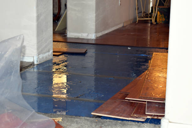 Professional Burst Pipe Cleanup technician working in Levasy, MO